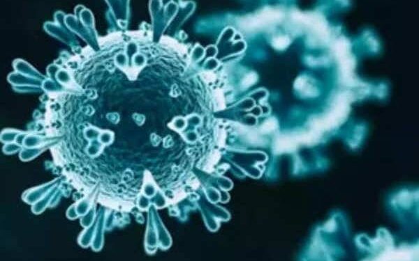 राजसमंद जिले में शनिवार को 278 नए कोरोना पोजिटिव मामले सामने आए