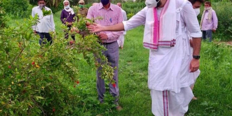 गोस्वामी चिरंजीवी श्री विशाल बावा ने किया विभिन्न बागों का निरीक्षण, ओडन बाग तथा गौशाला में वृक्षारोपण कार्यक्रम की शुरुआत