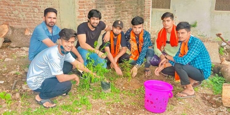 अखिल भारतीय विद्यार्थी परिषद, नाथद्वारा द्वारा वृक्षारोपण