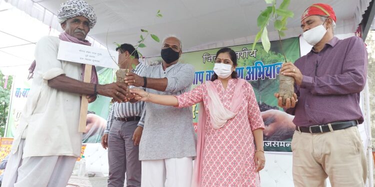 “एक परिवार-एक पेड’’ का सीईओ गुप्ता ने  किया आगाज