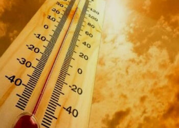 लायन्स क्लब वल्लभा श्रीनाथद्वारा को रीजन कॉन्फ्रेंस में मिले सेवा अवार्ड