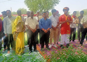 जिला कलक्टर सक्सेना ने पीपली अहिरान मे किया मिर्ची बीज का वितरण