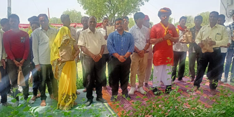 जिला कलक्टर सक्सेना ने पीपली अहिरान मे किया मिर्ची बीज का वितरण