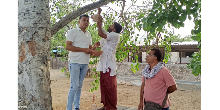 कनक कमल ट्रस्ट द्वारा श्रीजी प्रभु की गौशालाओं एवं बागों में बांधे परिंडे, घोंसले, एवं दाना स्टैंड