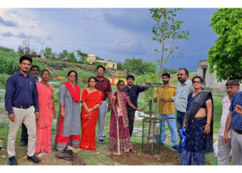 महाविद्यालय में किया वृक्षारोपण