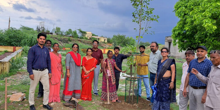 महाविद्यालय में किया वृक्षारोपण