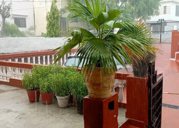 जिले में हुई औसत 10.09 मिमी बारिश