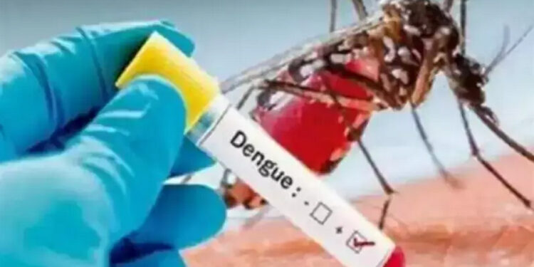 कल से जिले भर में चलेगा डेंगू रोधी अभियान