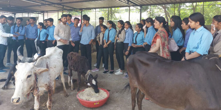 एनएसएस दिवस गौ सेवा संग