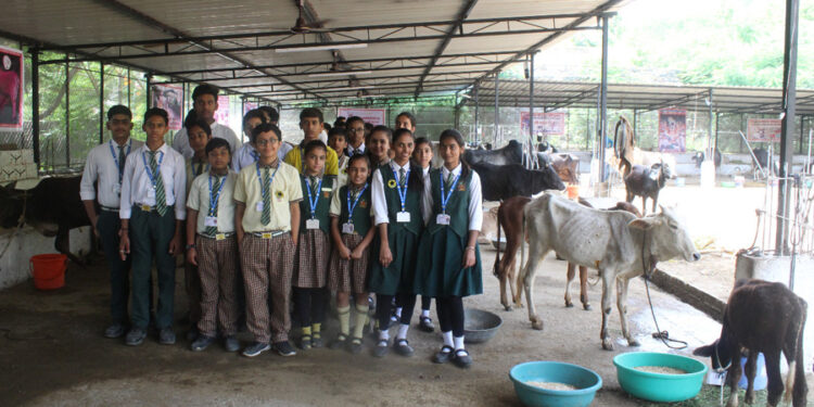 सनराइजर्स ने लंपी वायरस के बचाव में किया सहयोग