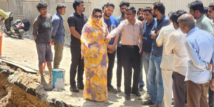 सांसद श्रीमती महिमा मेवाड़ ने किया जल जीवन मिशन के कार्य का निरीक्षण