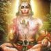 सनातन में हनुमान जयंती की भावना