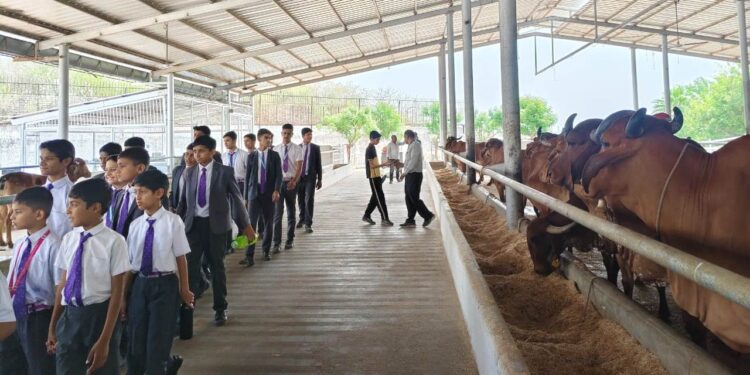 एस.बी.एस. में लाईव स्टॉक युटिलीटी सेमिनार