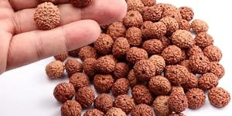 रुद्राक्ष अपने-आप में एक ऊर्जा का स्रोत