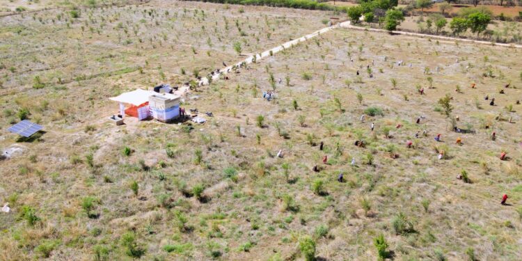 जल संरक्षण एवं चारागाह विकास कार्यों का मीडिया ने किया अवलोकन