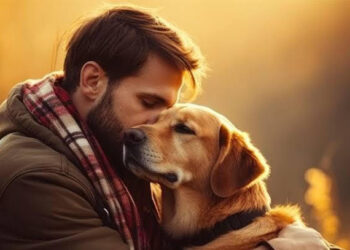 उच्च शिक्षण संस्थानों में पशु कल्याण समितियों का होगा गठन