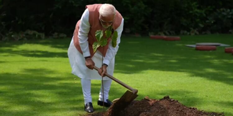 विश्व पर्यावरण दिवस के अवसर पर पीएम मोदी ने किया सिंदूर के पौधे का रोपण